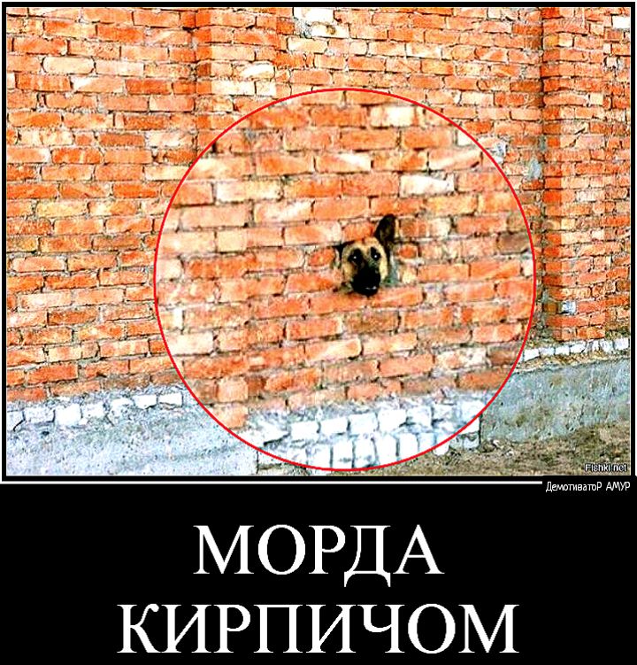 даюапчвашд КИРПИЧОМ