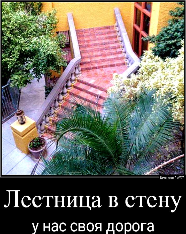 дам АМУР Лестница В стену у нас СВОЯ дорога