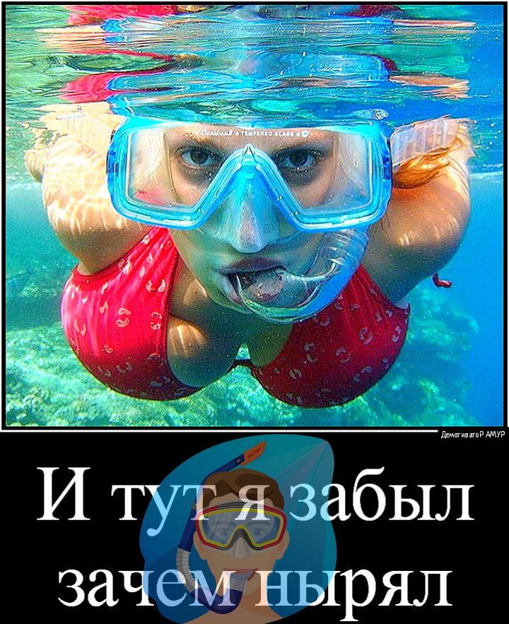 И ту забыл заче ырял
