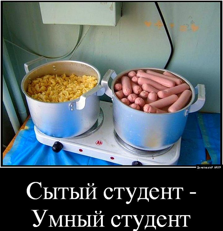 Сытый студент УМНЫ