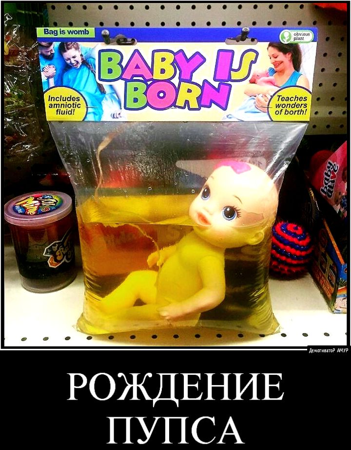 РОЖДЕНИЕ ПУПСА