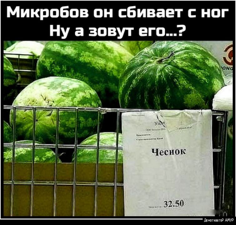 Микробов он сбивает ног Ну а зовут его Чеснок