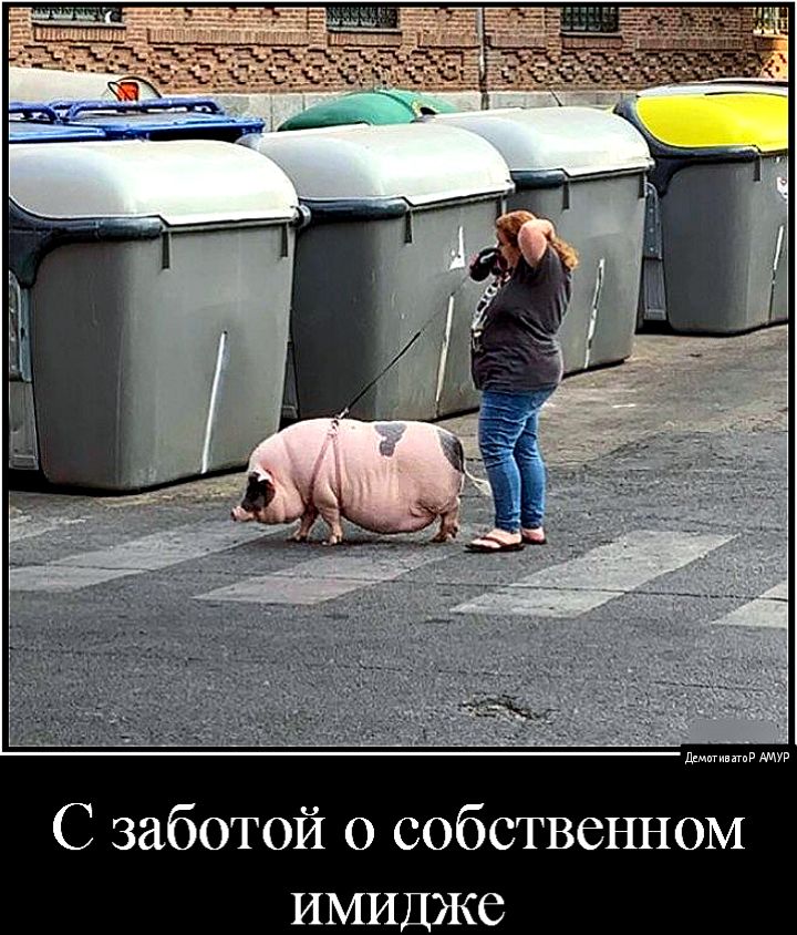 дшптивщпР мур С заботой о собственном имидже