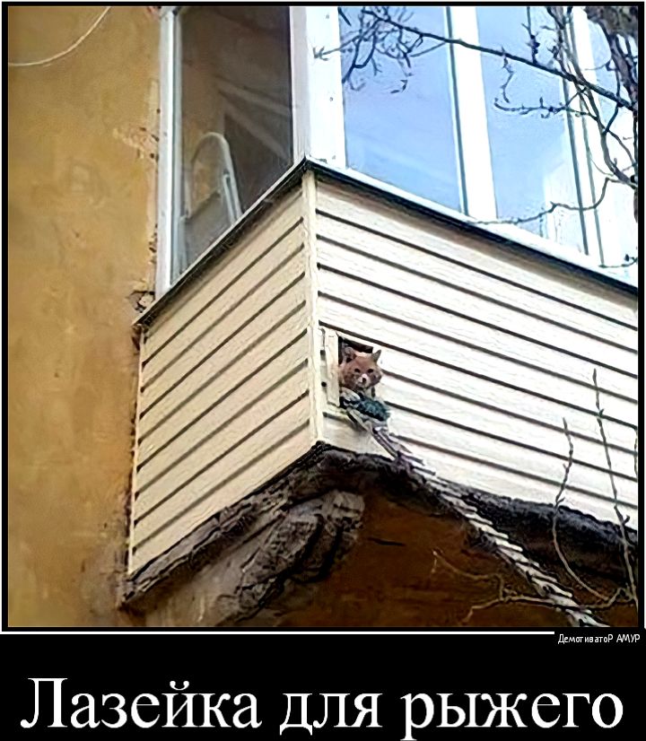 Лазейка ДЛЯ рыжего