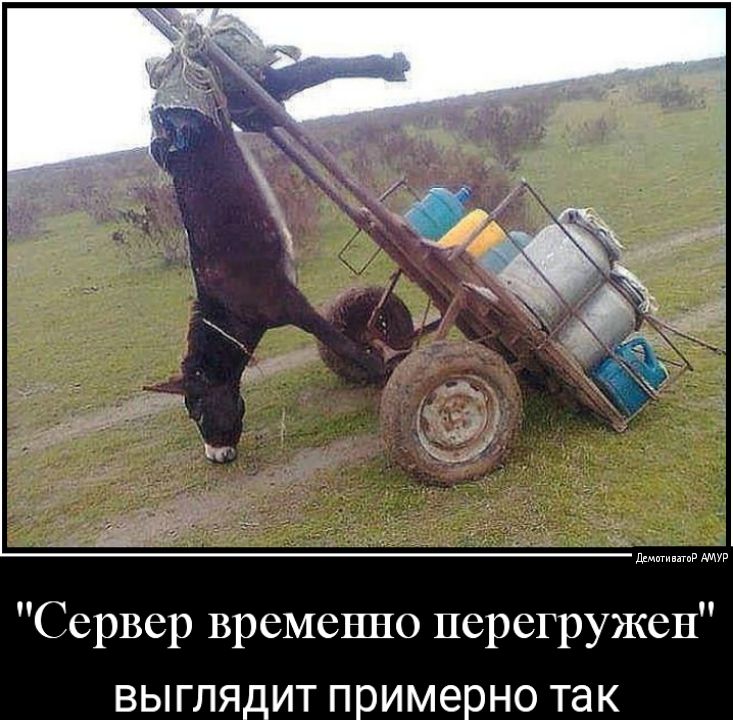 д мммммм АМУР Сервер временно перегружен ВЫГЛЯДИТ примерно так