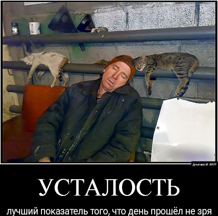 мимтР дми УСТАЛОСТЬ лучший показатель того что день прошёл не зря
