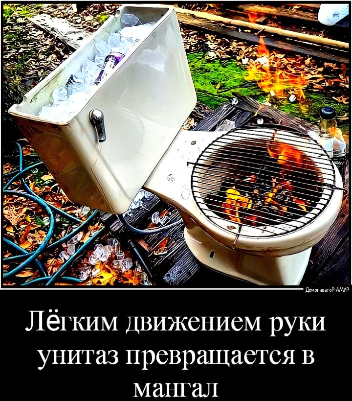 дит АМУР Лёгким Движением руки унитаз превращается В мангал