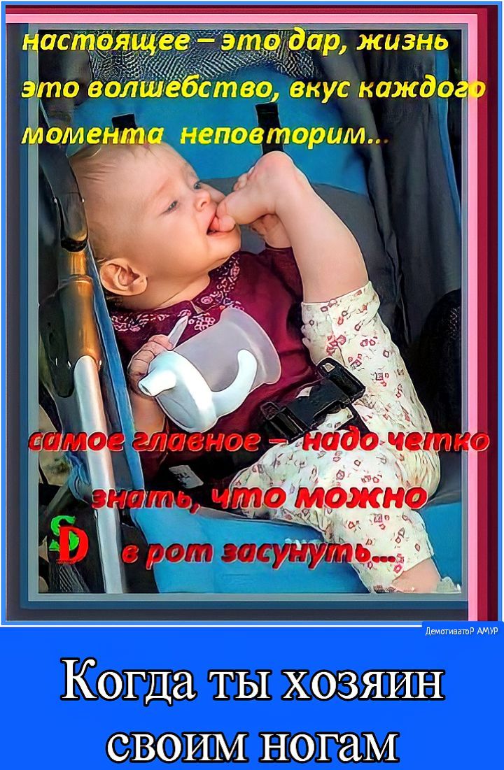 аржизнь ство вкус каждо неповторим демиивашв АМУР Когда ТЫ ХОЗЯИН СВОИЪі ногам