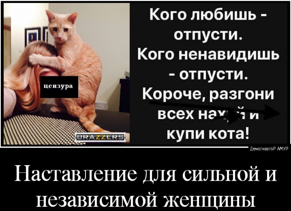 Кого любишь отпусти Кого ненавидишь отпусти Короче разгони всех нач 1 и купи кота демщиватр АМУР НЗСТаВЛСНИС ДЛЯ СИЛЬНОЙ И НСЗЗВИСИМОЙ ЖСНЩИНЫ