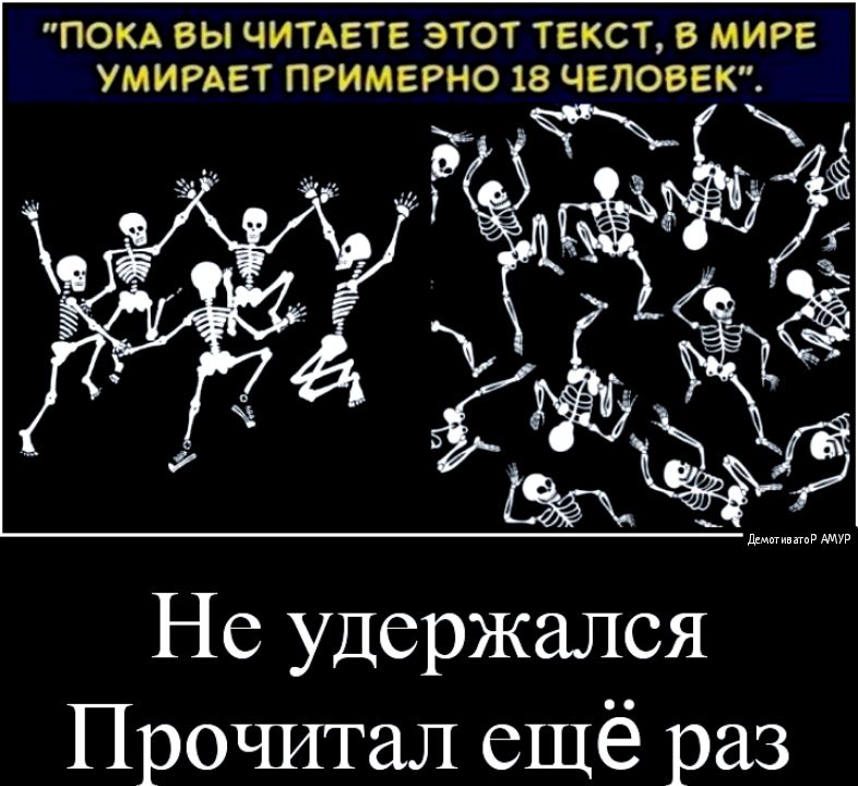 ПОКА ВЫ ЧИТАЕТЕ ЭТОТ ТЕКСТ В МИРЕ УМИРАЕТ ПРИМЕРНО 18 ЧЕЛОВЕК Не удержался Прочитал ещё раз