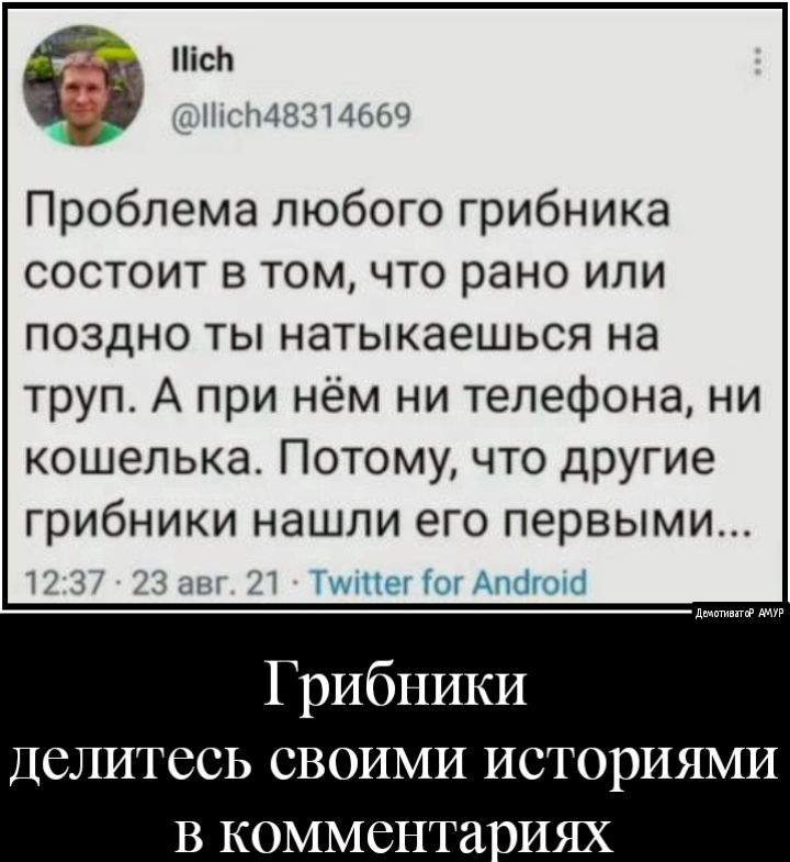 ісЬ т1 1г1017 Проблема любого грибника состоит в том что рано или поздно ты натыкаешься на труп А при нём ни телефона ни кошелька Потому что другие грибники нашли его первыми ТИГ Ты тт Грибники Делитесь своими историями В коммента иях