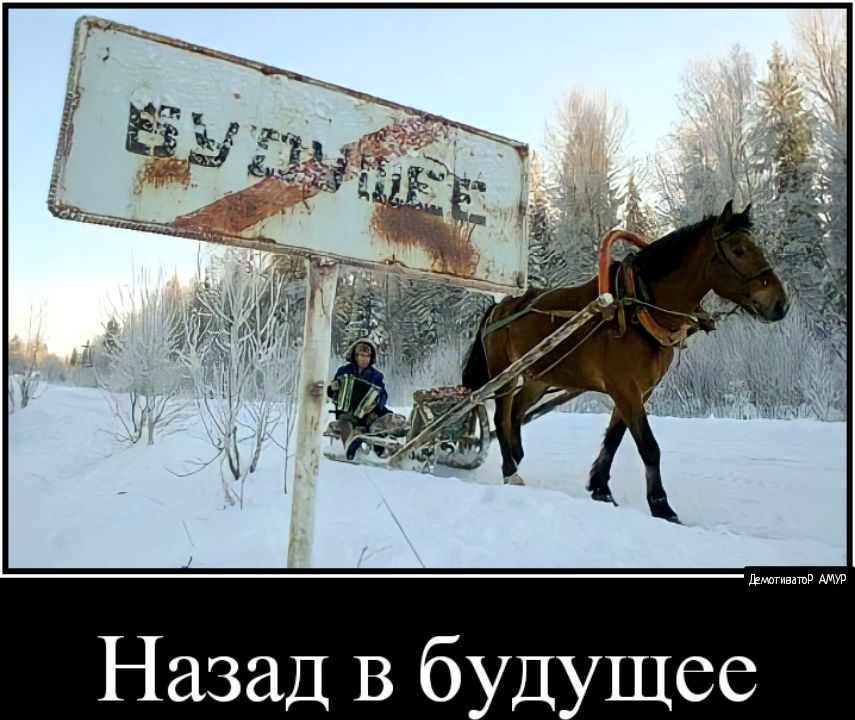 швдшв Назад В 6 Д щее