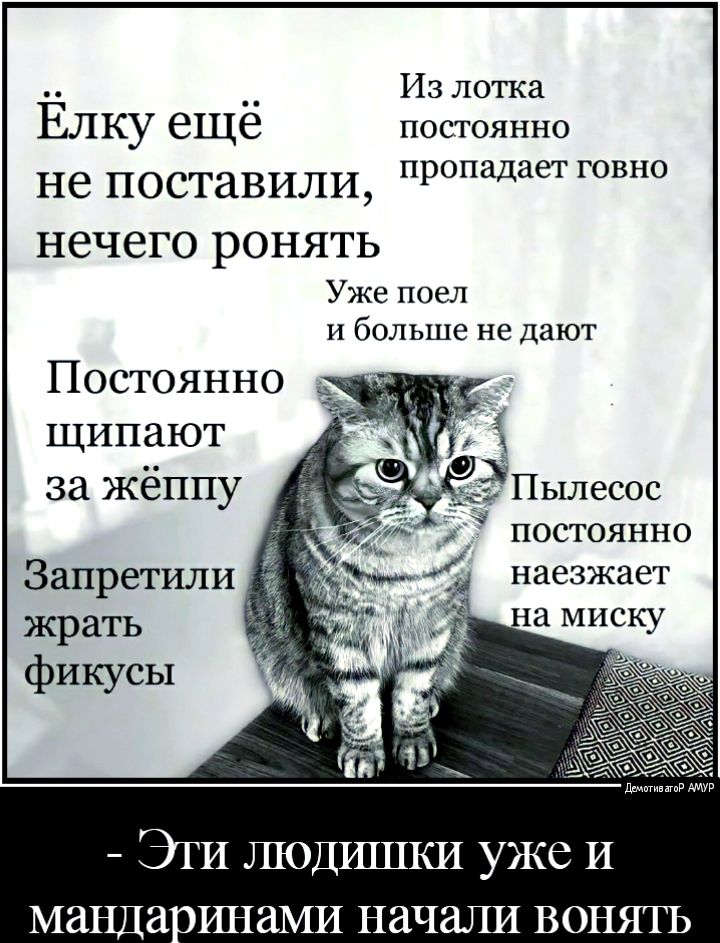 __ Из лотка ЕЛКУ еще постоянно не поставили пропадает говно НЭЧЭГО РОНЯТЬ Уже поел и больше не дают Постоянно щипают за Жёппу _ Пылесос 4 _ ПОСТОЯННО Запретили наезжает жрать Эти ЛЮДИШКИ уже И манда ИНаМИ начали вонять