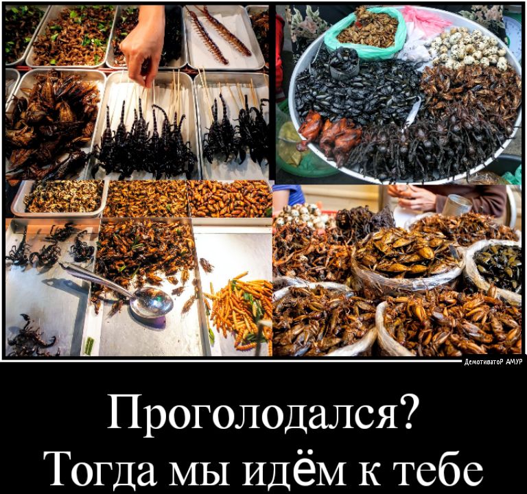 Проголодался Тогда МЫ Идём К тебе