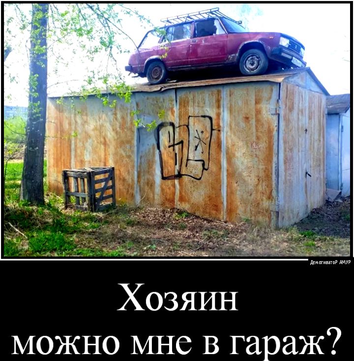 ХОЗЯИН можно мне В гараж