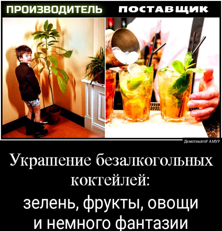 ПРОИЗВОДИТЕЛЬ ПОСТАВ ЩИК дентивпиР АМУР Украшение безалкогольных коктейлей зелень фрукты овощи и немного фантазии