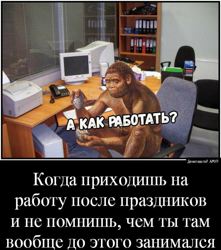 Когда приходишь на работу после праздников и не помнишь чем ты там вообще до этого заъшмался