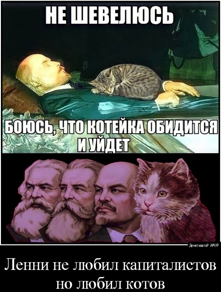 дыни овидитея Ленни не любил капиталистов но любил котов