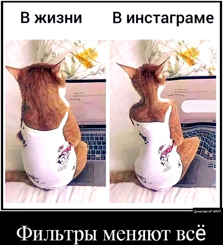 В жизни В инстаграме Фильтры меняют всё