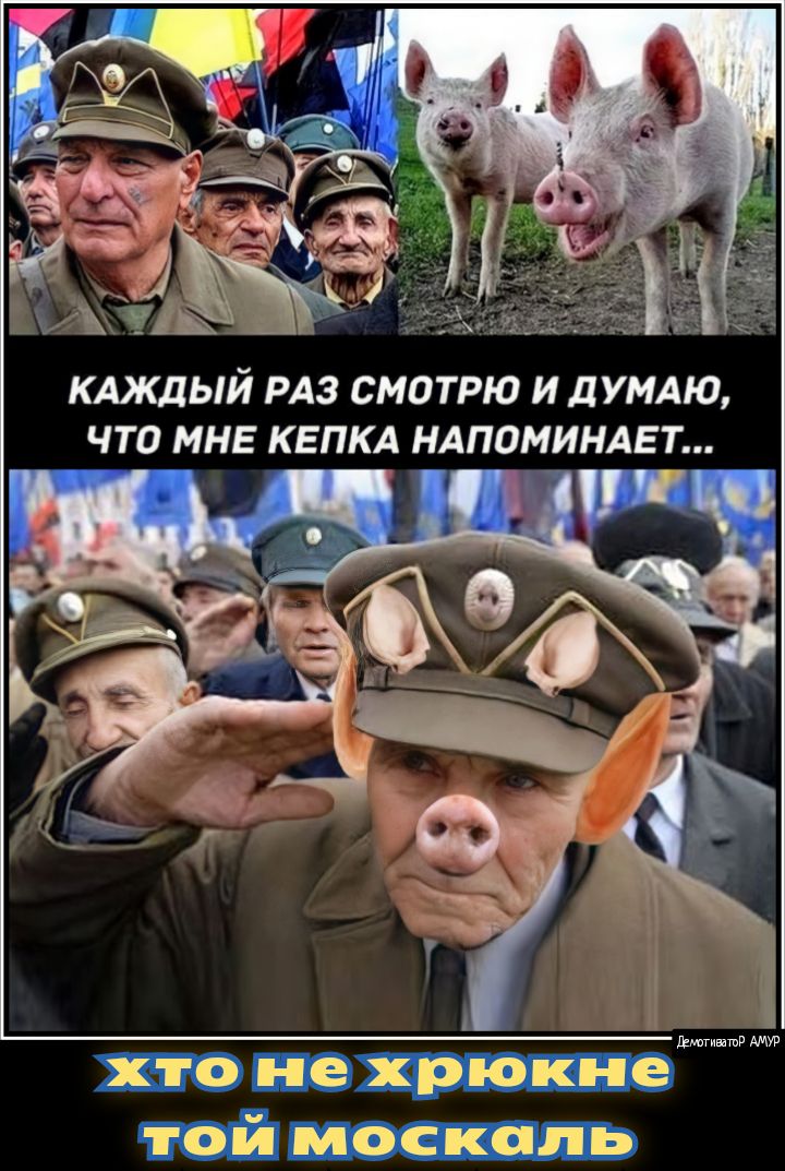 кдждый РАЗ смотрю и дУМАЮ что мне квпкд ндпоминдвт хто не хрюкне той мос аль