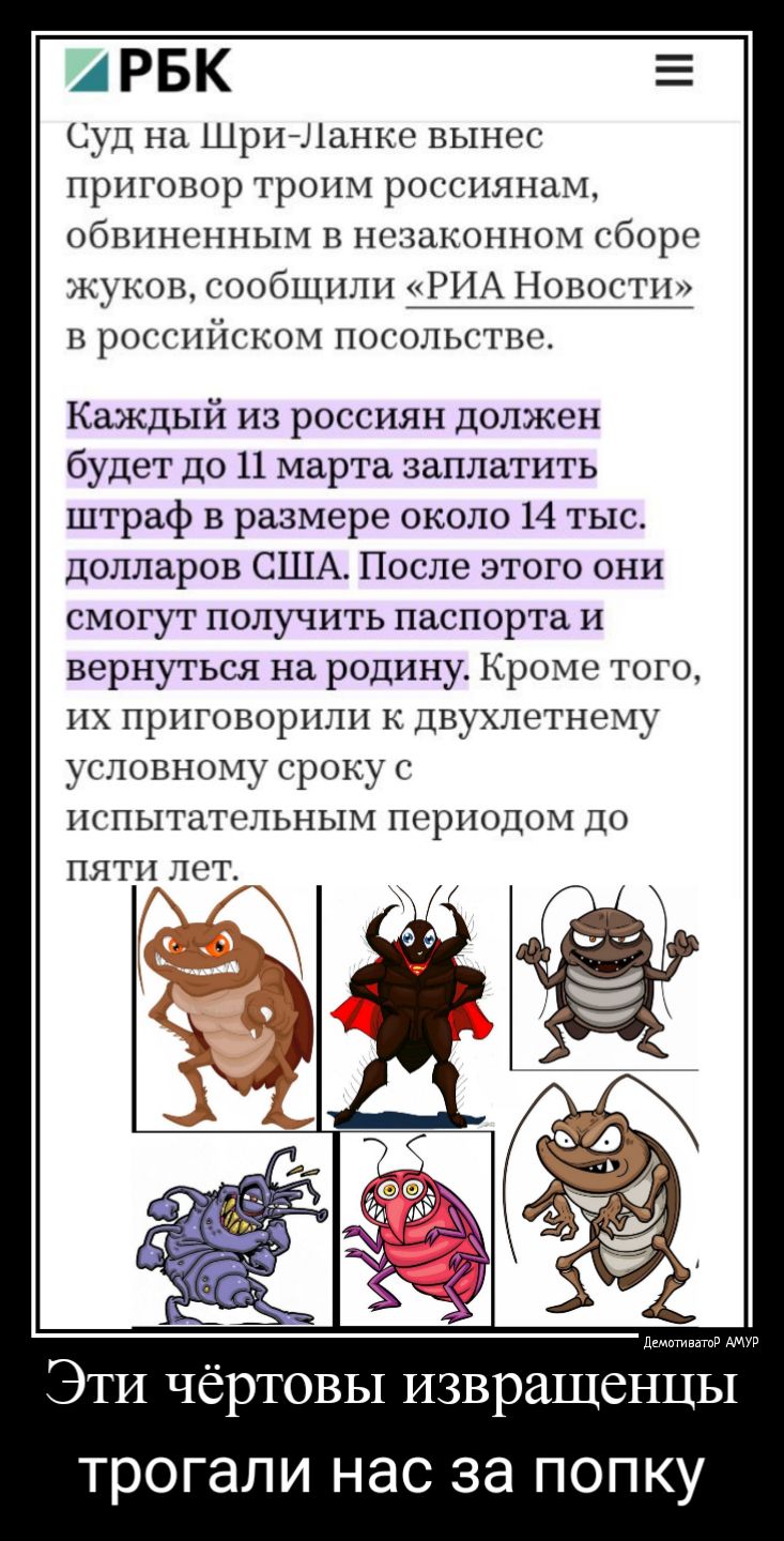 'арбк суд на шриланке вынес приговор троим россиянам, обвиненным в незаконном сборе жуков, сообщили «риа новости» в российском посольстве. Каждый из россиян должен будет до п марта заплатить штраф в размере около 14 тыс. Долларов сша. После этого они смогут получить паспорта и вернуться на родину. Кроме того, их приговорили к двухлетнему условному сроку с испытательным периодом до пяти лет. Эти чёртовы извращенцы трогали нас за попку
