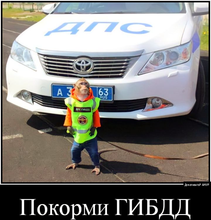 ПокорМИ ГИБДД