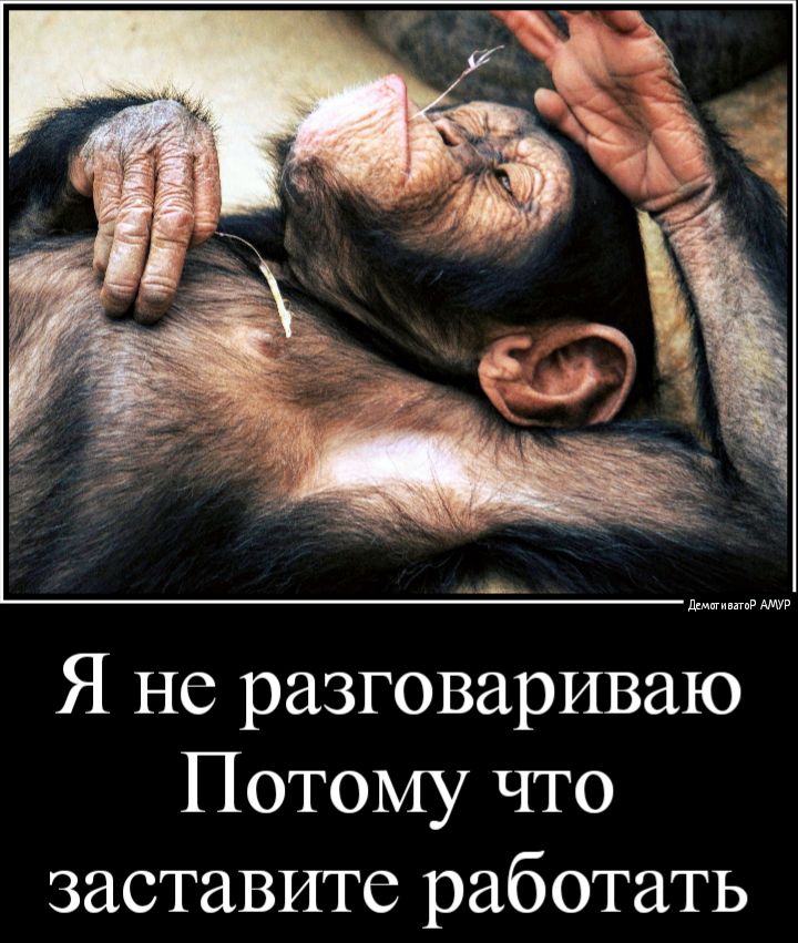 дщвгиигпР яму Я не разговариваю Потому что заставите работать