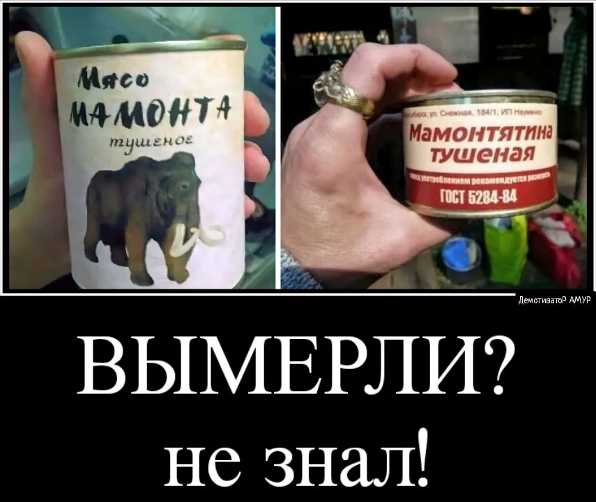 ВЫМЕРЛИ не знал