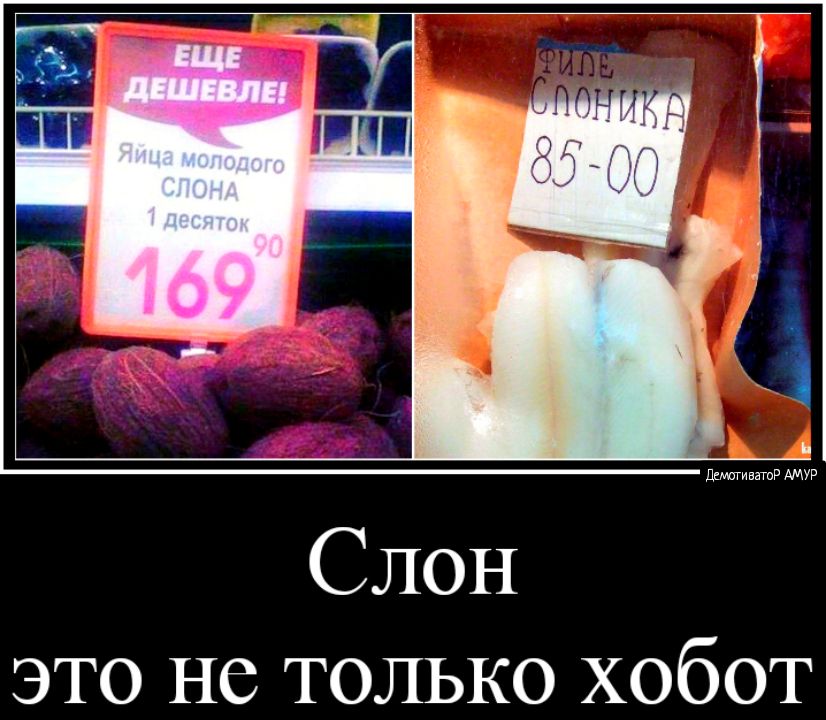 Слон это не только хобот