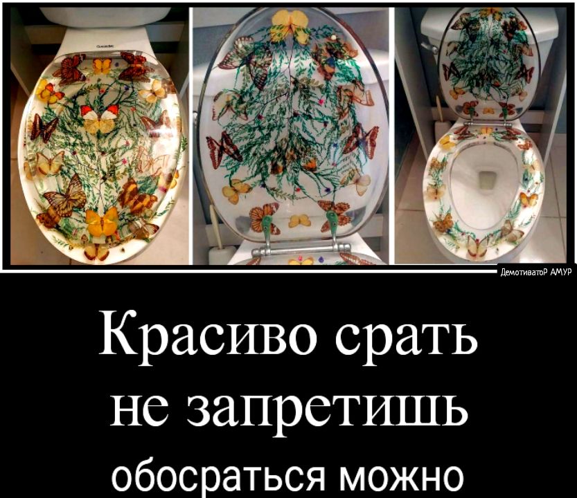 Красиво срать НС запретишь обосраться можно