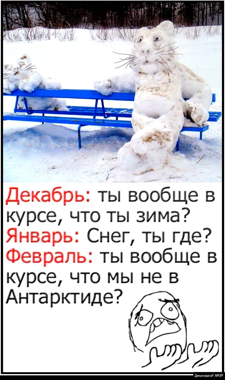 Декабрь ты вообще в курсе что ты зима Январь Снег ты где Февраль ты вообще в курсе что мы не в Антаркгиде
