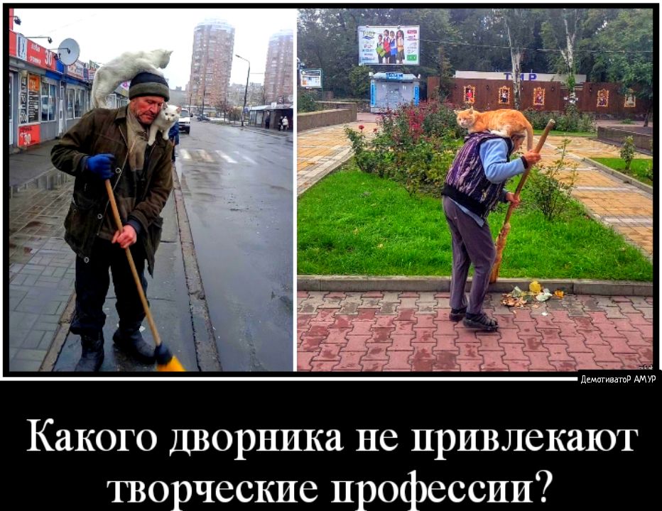 Какого дворника нс иривлскаюг Шорчсскис профессии