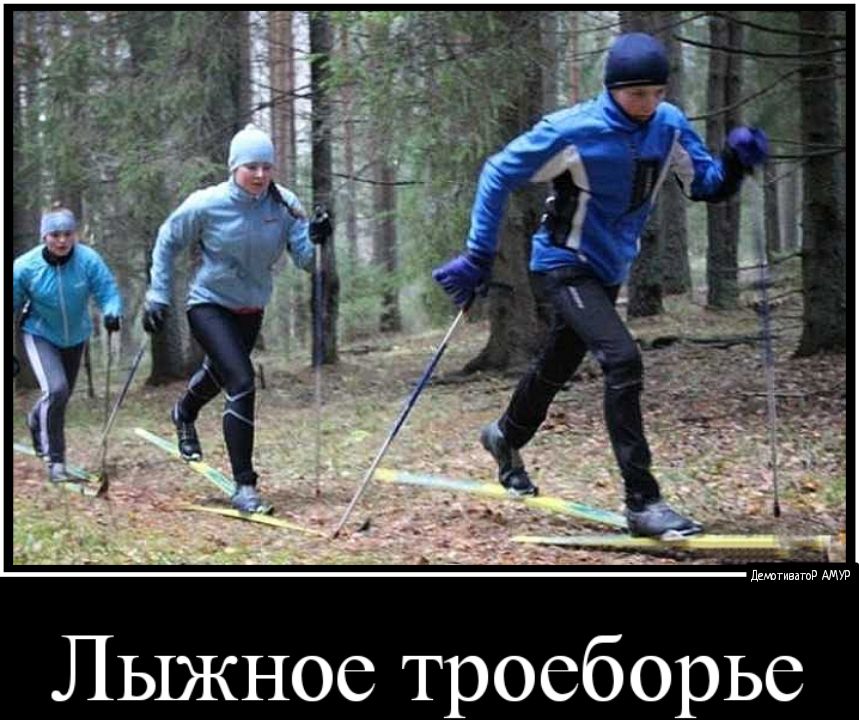 ддюгивитд Лыжное троеборье