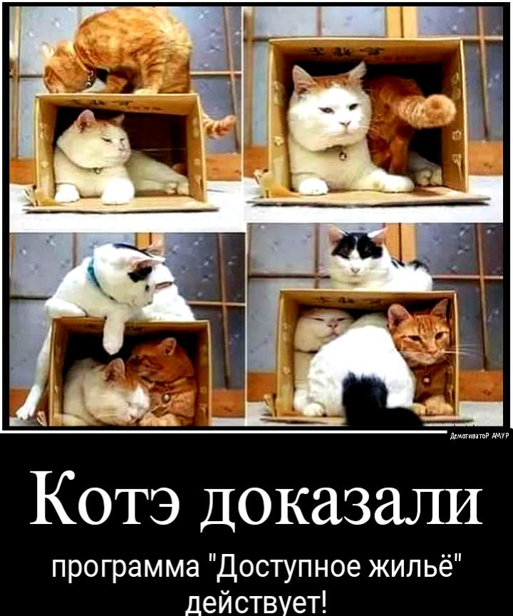 Котэ Доказали программа Доступное жильё действует