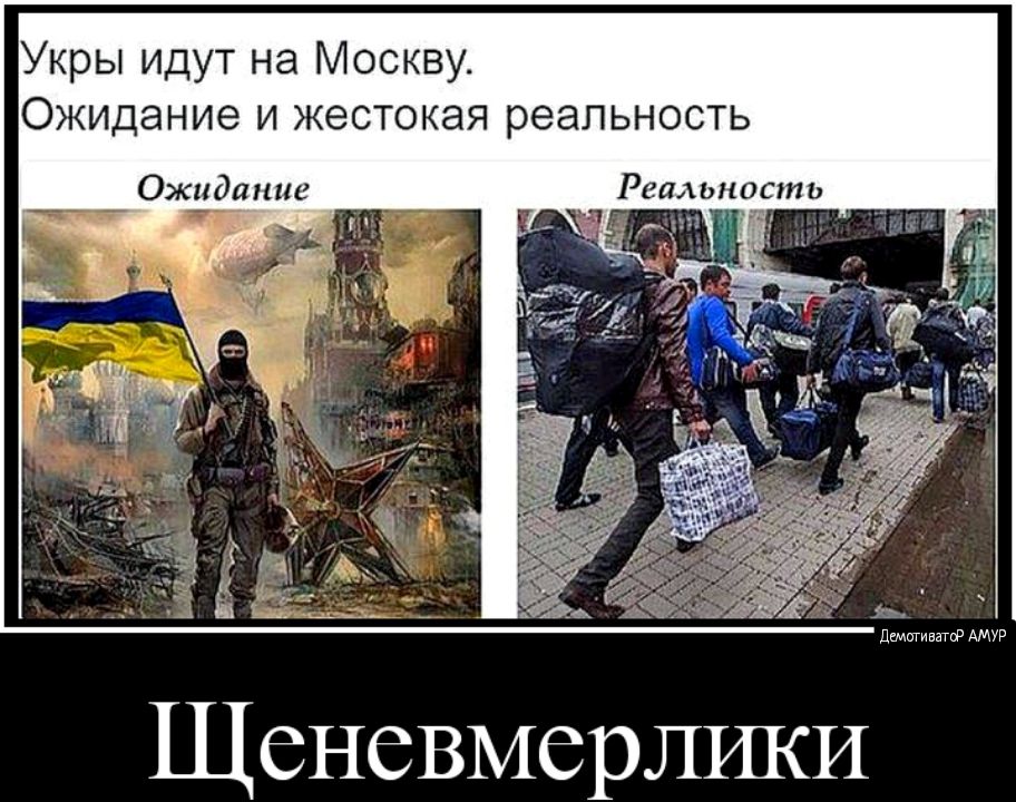 Укры идут на Москву Ожидание и жестокая реальность Ожидание Реальное ь ЩеневмерЛИКИ