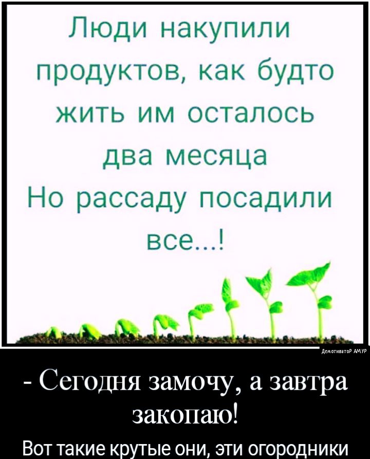 341 О СТ Л О С Ь то т ч Ц і О Я _ь двмп а Сегодня замочу завтра закопаю Вот такие к
