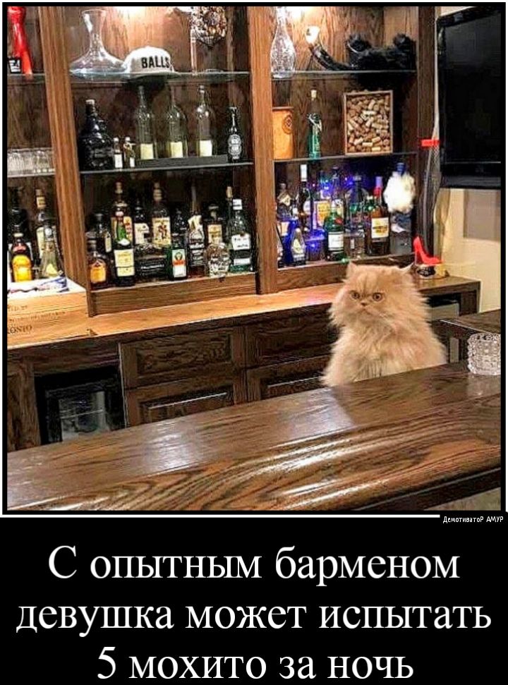 С опытным барменом Девушка может испытать 5 МОХИТО за ночь
