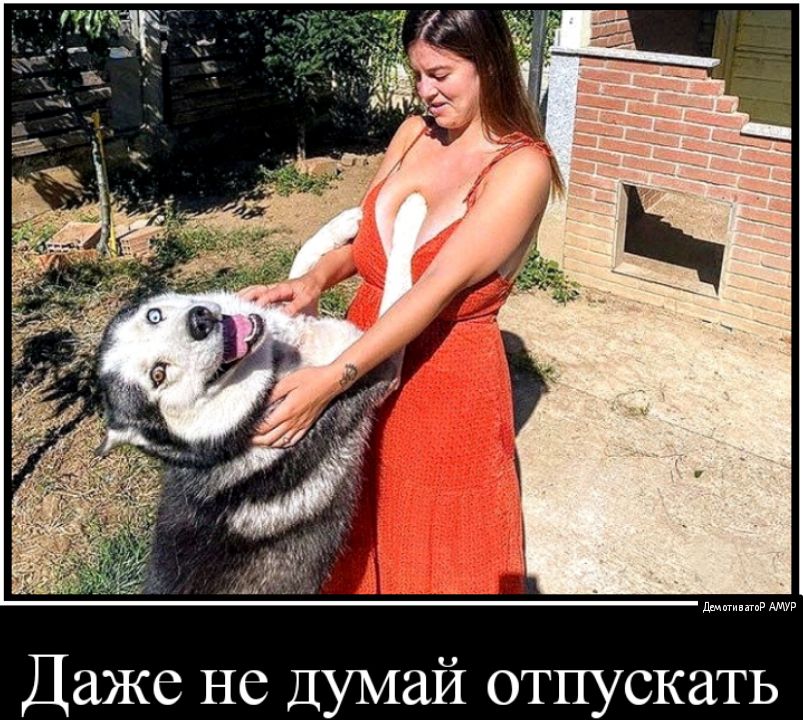 ддМттпгпР АМУР Даже не Думай отпускать