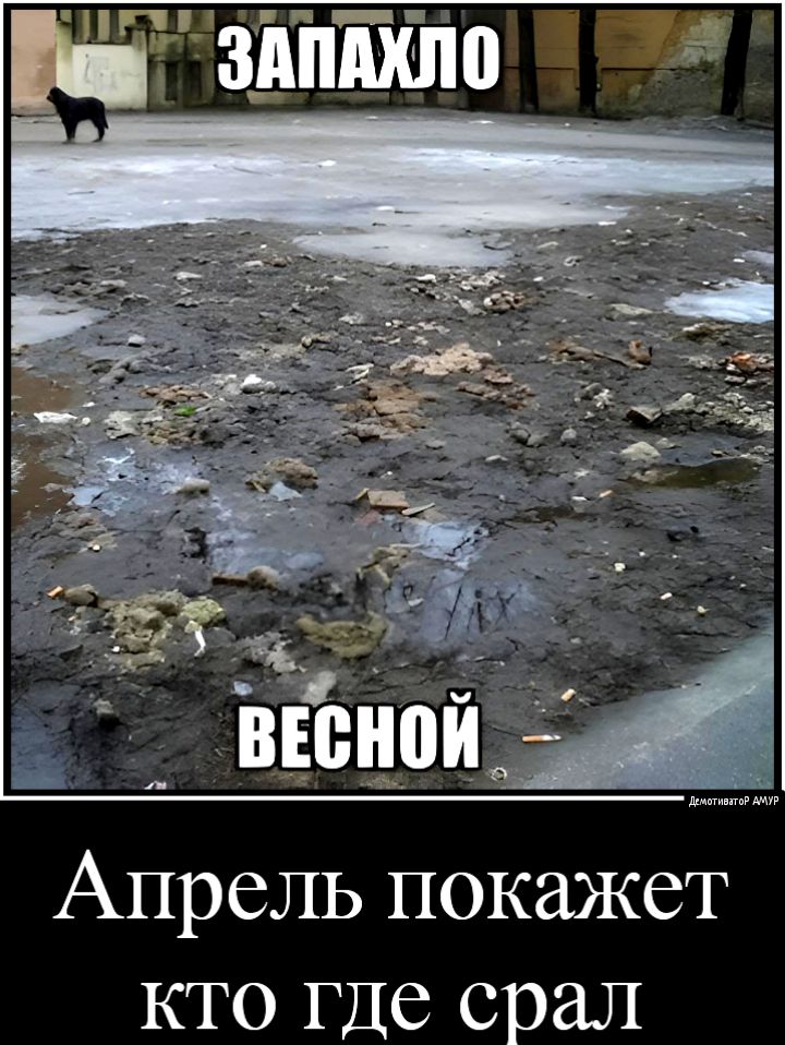 Апрель покажет кто Где орал