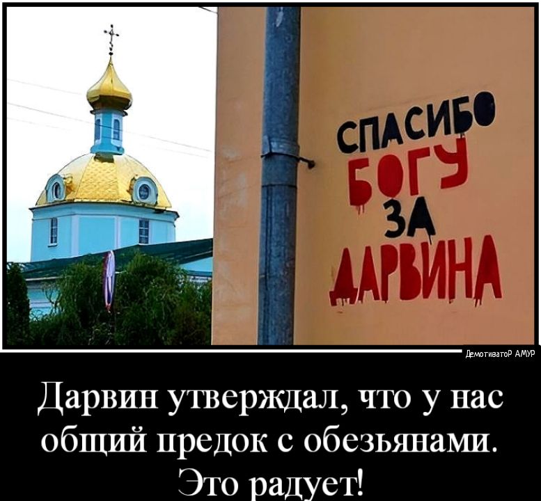 Дарвин утверждал что у нас общий предок с обезьянами ЭТО радует