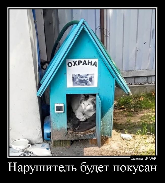 Нарупштель будет поЁусаЁ