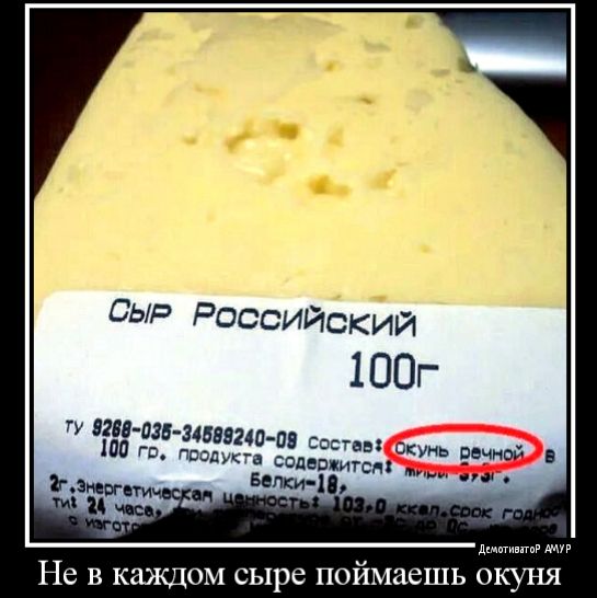 Сыр Российёкии 100г Ъ Энергетик іі с эт извшвшо пз ШП Есик а содержигвн БеЛКи ііг литыми Не в каждом сыре поймаешь куня