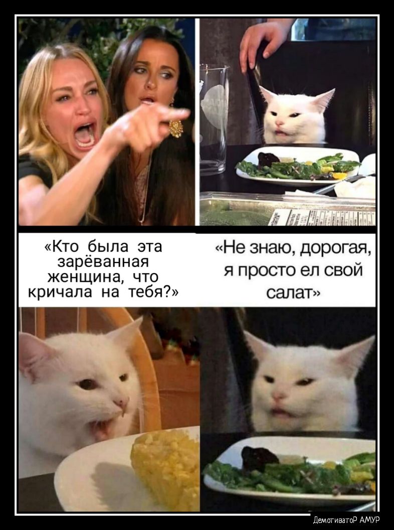 Кто _была эта Не знаю дорогая зареванная женщина ЧТО я просто ел свой кричала на тебя салат двмигиватир АМУР
