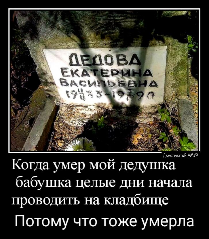 бабушка целые шш начала проводить на кладбшце Потому что тоже умерла