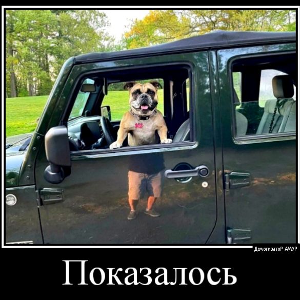 Показалось