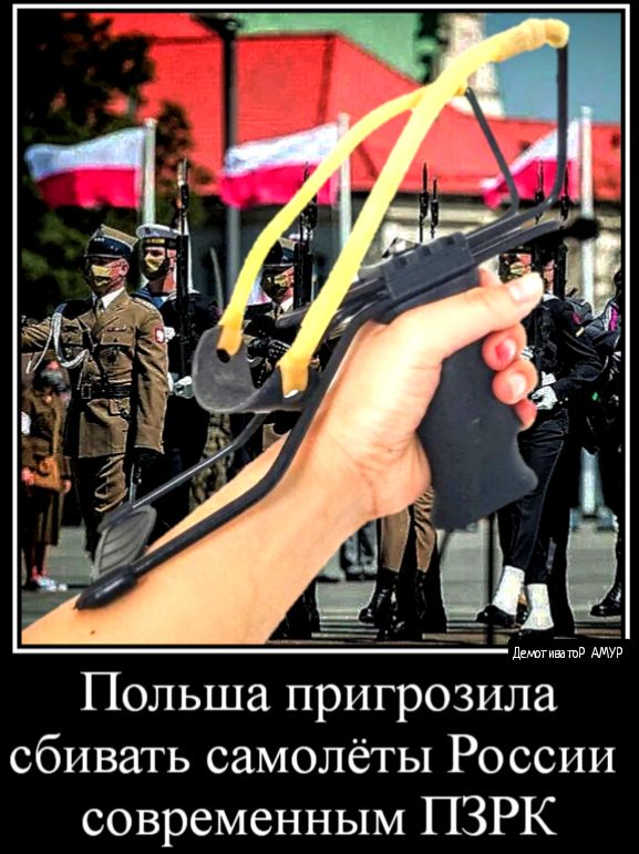 Польша пригрозила сбивать самолёты России современным ПЗРК