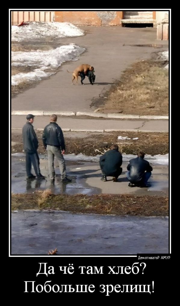 д Да чё там хлеб Побольше зрелшц