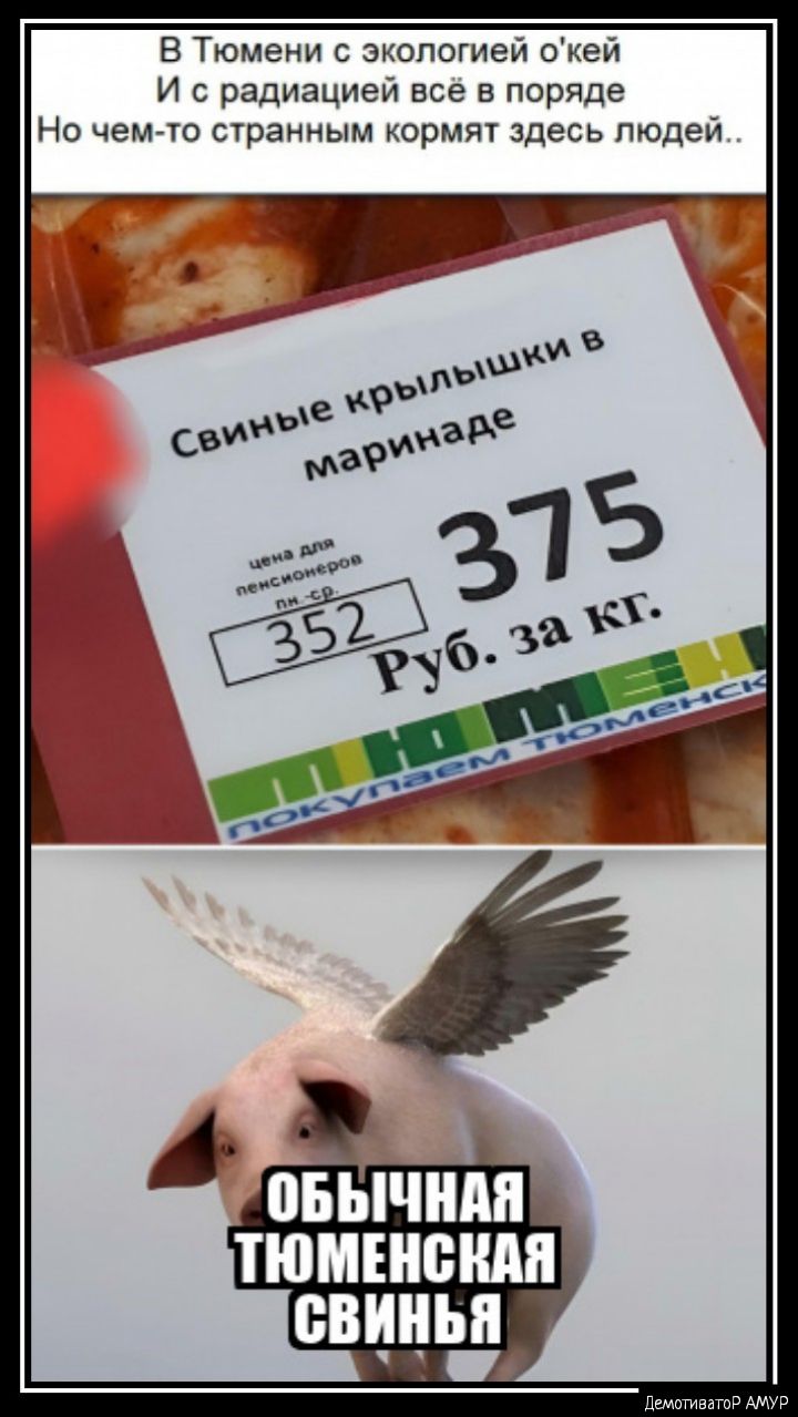 В Тюмени с экологией окей И радиацией все в пордде Но чем то странным корм здесь людей