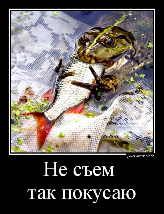 так покусаю