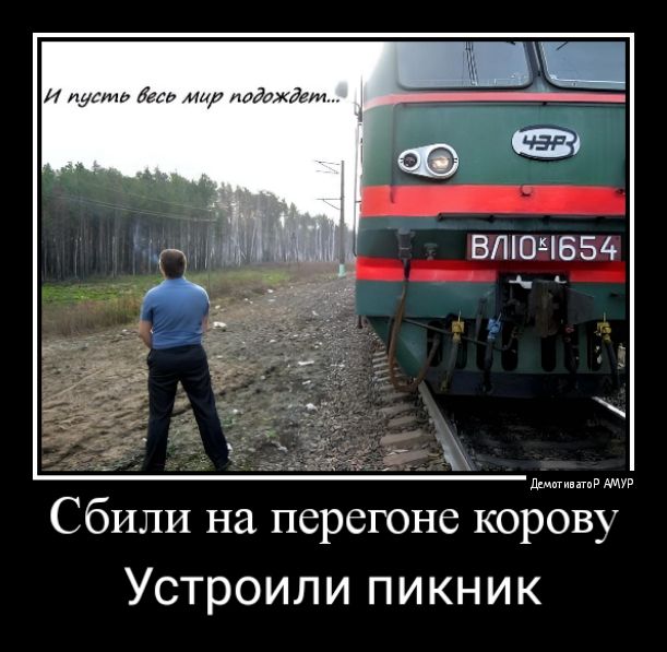 и Сбили на перегоне корову Устроили ПИКНИК